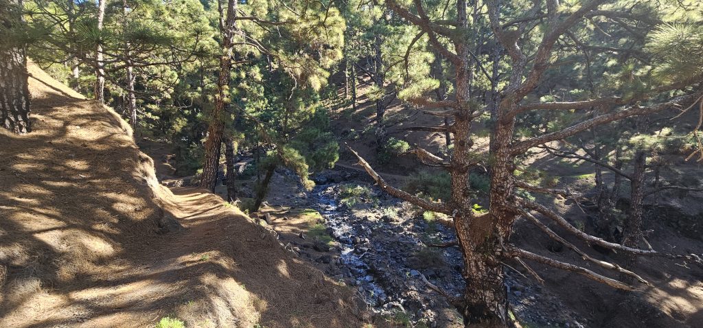 Los Brecitos - Barranco de las Angustias: Barranco de Risco Liso