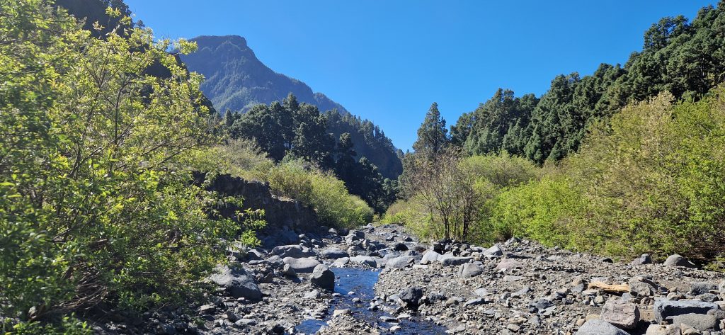 Los Brecitos - Barranco de las Angustias: Playa de Taburiente