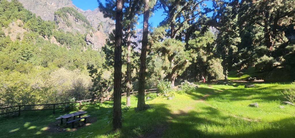 Los Brecitos - Barranco de las Angustias: Campingplatz oberhalb des Playa de Taburiente