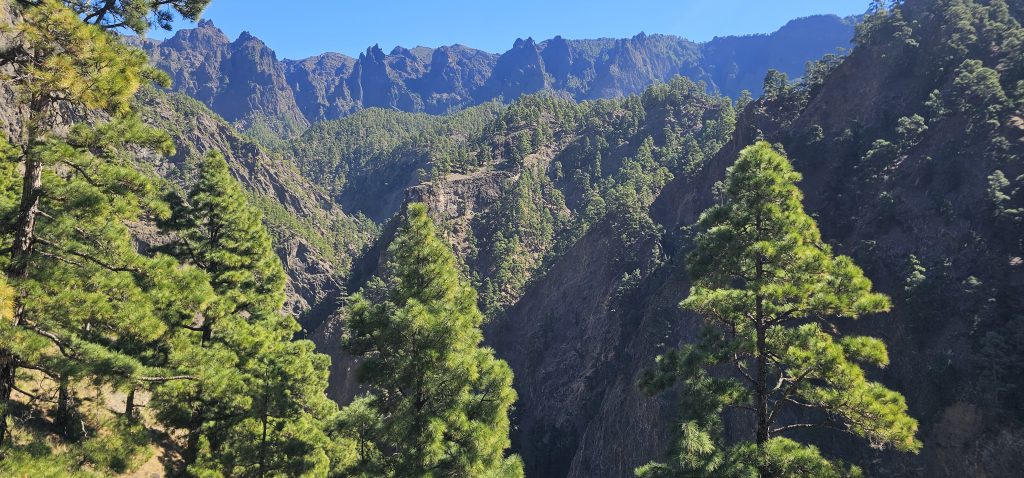 Los Brecitos - Barranco de las Angustias: Weg vom Playa de Taburiente zum Barranco de las Angustias