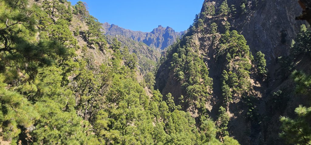 Los Brecitos - Barranco de las Angustias: Es geht steil bergab in die Schlucht