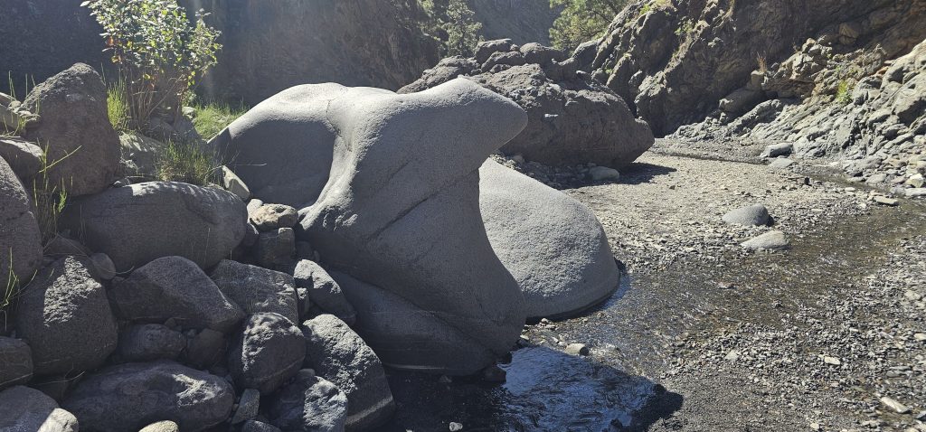 Los Brecitos - Barranco de las Angustias: Eisbären-Skulptur