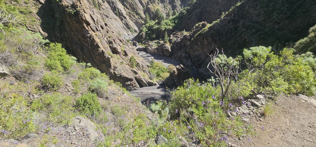 Los Brecitos - Barranco de las Angustias: Blick von oben in den Barranco