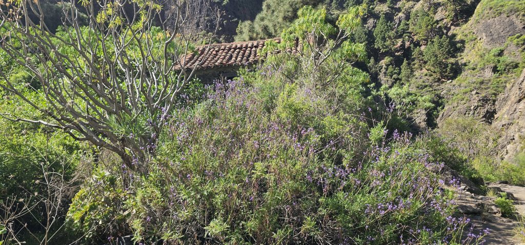 Los Brecitos - Barranco de las Angustias: Kleine versteckte "Schutzhütte"