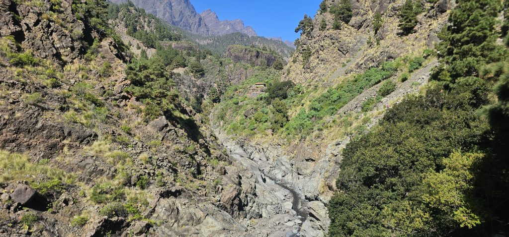 Los Brecitos - Barranco de las Angustias: Blick von oben in den zauberhaften Barranco