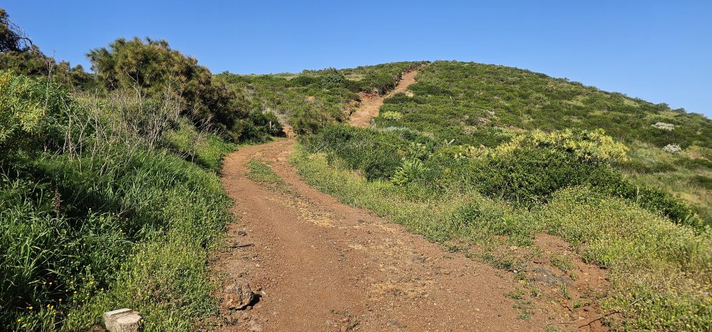 Puntagorda - Mirador Cruz de la Reina: Weg auf den Montaña de Matos, hier gibt es schon den ersten Mirador
