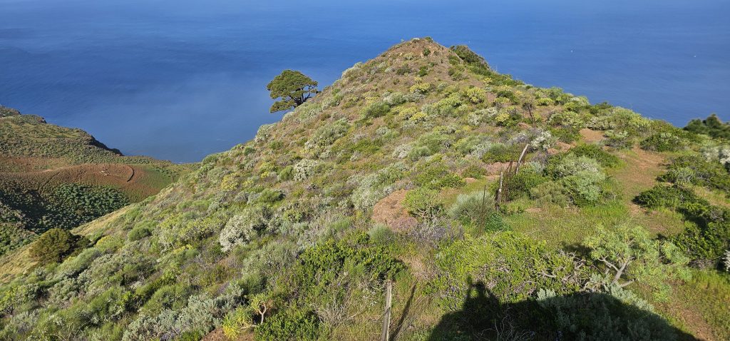 Puntagorda - Mirador Cruz de la Reina: Blick zum Meer
