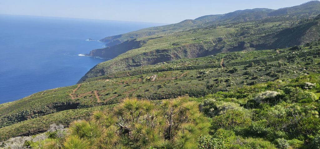 Puntagorda - Mirador Cruz de la Reina: Blick entlang der Nordost-Küste La Palmas