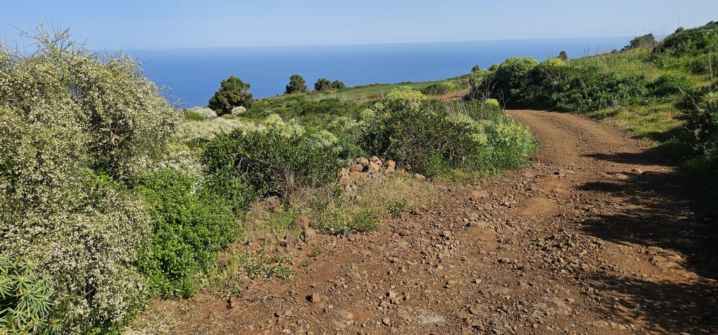 Puntagorda - Mirador Cruz de la Reina: Die Piste führt Dich bis an den Rand der Steilküste