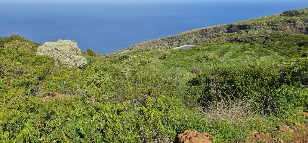 Puntagorda - Mirador Cruz de la Reina: Extensive Landwirtschaft