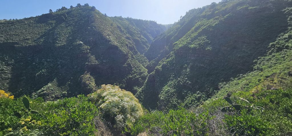 Puntagorda - Mirador Cruz de la Reina: Barranco Izcagua