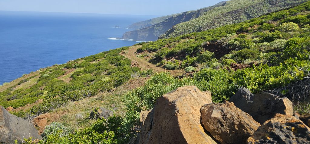 Puntagorda - Mirador Cruz de la Reina: Nordost-Küste La Palmas