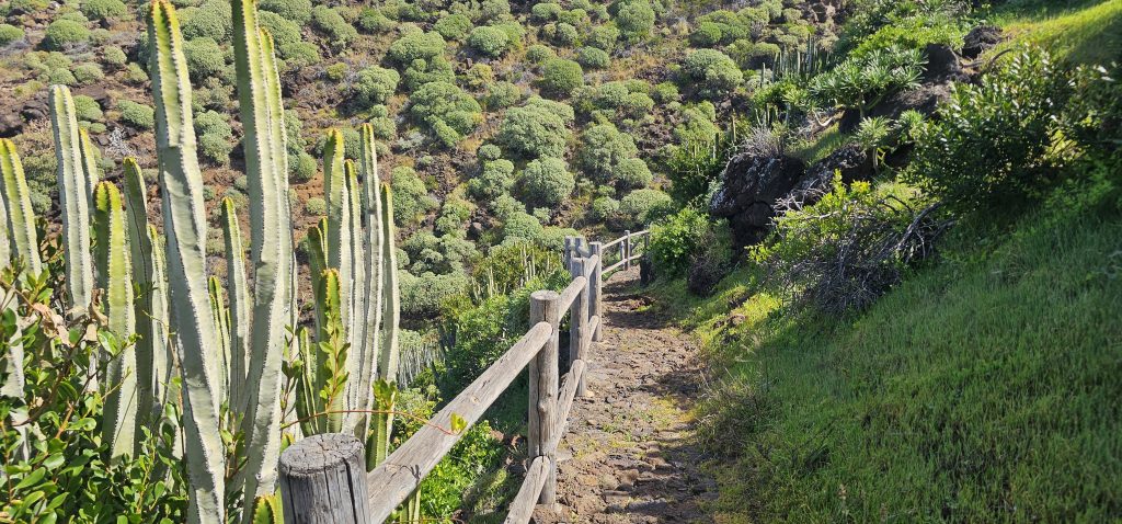 Puntagorda - Mirador Cruz de la Reina: Weg zum unteren Mirador