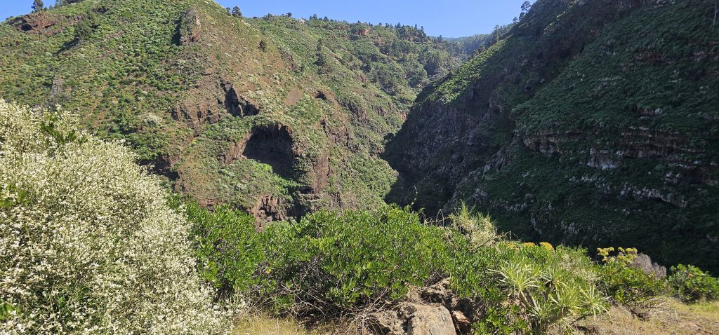 Puntagorda - Mirador Cruz de la Reina: Blick in den Barranco Izcagua