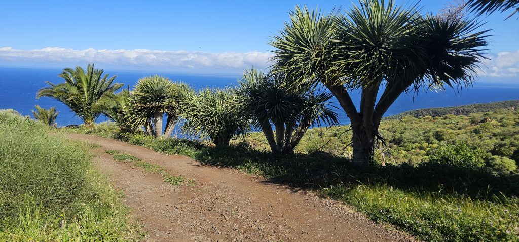 Poris de Lomada Grande: Piste hinunter zum Parkplatz