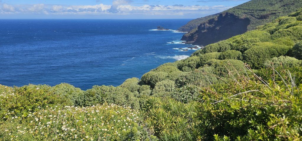 Poris de Lomada Grande: Blick entlang der Nordküste Richtung Garafia